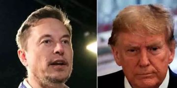 പ്രസിഡന്റായാൽ വൈറ്റ്ഹൗസ് ഉപദേഷ്ടാവായി നിയമിക്കുമെന്ന് ട്രംപ് പറഞ്ഞിട്ടില്ല -വാർത്തകൾ നിഷേധിച്ച് ഇലോൺ മസ്ക്