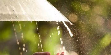 അടുത്ത അഞ്ചു ദിവസം കേരളത്തിൽ മഴയ്ക്ക് സാധ്യത