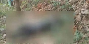 ചിപ്പിലിത്തോട്ടിലെ റബ്ബർ തോട്ടത്തിൽ അജ്ഞാത മൃതദേഹം കണ്ടെത്തി