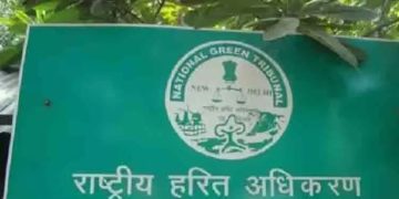 ഇടുക്കി ചിലന്തിയാറിന് കുറുകെ തടയണ നിർമാണം: ഇട​പെട്ട് ദക്ഷിണ മേഖല ഹരിത ട്രിബ്യൂണൽ