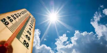 വേനല്‍ ചൂട്: ‘കന്നുകാലികള്‍ക്ക് ജല ലഭ്യത ഉറപ്പാക്കണം, ദിവസം നല്‍കേണ്ടത് 100 ലിറ്റര്‍ വരെ’, നിർദേശങ്ങൾ