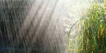 കേരളത്തിൽ15 വരെ മഴക്ക് സാധ്യത; ഇന്ന് അഞ്ച് ജില്ലകളിൽ യെല്ലോ അലർട്ട്