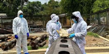 പക്ഷിപ്പനി: നിരണം ഫാമിലെ 4000 ത്തോളം താറാവുകളെ കൊന്നൊടുക്കി