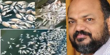 പെരിയാറിൽ മത്സ്യങ്ങൾ ചത്ത സംഭവം: റിപ്പോർട്ടിന്റെ അടിസ്ഥാനത്തിൽ തുടർ നടപടിയെന്ന് പി. രാജീവ്