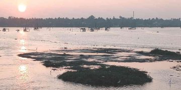 കൈതപ്പുഴകായലി​െല ‘ദ്വീപ്’; നടപടി വേണമെന്ന്​ തീരവാസികൾ