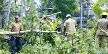 കനത്ത മഴയിൽ സംസ്ഥാനത്തുടനീളം കെഎസ്ഇബിക്ക് കനത്ത നാശനഷ്ടം