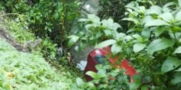 നെയ്യാര്‍ കനാലിലെ 25 അടി താഴ്ചയിലേക്ക് കാര്‍ മറിഞ്ഞു ; 5വയസുകാരിയും കുടുംബവും അത്ഭുതകരമായി രക്ഷപ്പെട്ടു