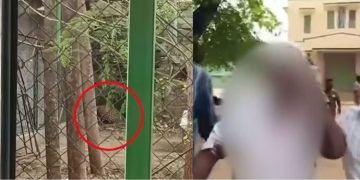 പട്ടാപ്പകൽ സ്കൂളിൽ പുലി ; ജീവനക്കാരനെ ആക്രമിച്ചു