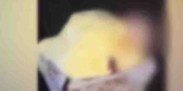 ഐസ്ക്രീമിൽ മനുഷ്യ വിരൽ കണ്ടെത്തിയ സംഭവം: കമ്പനിയുടെ ലൈസൻസ് സസ്പെൻഡ് ചെയ്തു