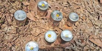 പാനൂർ ബോംബ് സ്ഫോടനക്കേസ്; മുഖ്യസൂത്രധാരൻ പിടിയില്‍, ചികിത്സയിലായിരുന്ന വിനീഷിന്‍റെ അറസ്റ്റ് ആശുപത്രി വിട്ടതോടെ