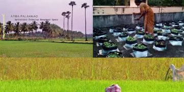 ആത്മ പദ്ധതി : ഓഡിറ്റ് നടത്തേണ്ടതില്ലെന്ന് കൃഷി ഡയറക്ടറുടെ വിചിത്ര ഉത്തരവ്