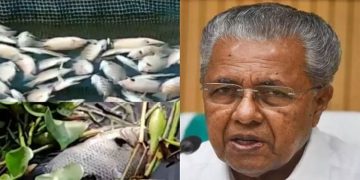 പെരിയറിൽ മൽസ്യങ്ങൾ ചത്തത്: രാസമാലിന്യം ഒഴുക്കിവിട്ടതായി അന്വേഷണത്തിൽ കണ്ടെത്തിയിട്ടില്ലെന്ന് മുഖ്യമന്ത്രി