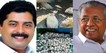 പെരിയാറിൽ മത്സ്യങ്ങൾ ചത്തുപൊങ്ങിയത് : മുഖ്യമന്ത്രിയുടെ വാദം പൊളിച്ചടുക്കി റോഷി അഗസ്റ്റിൻ