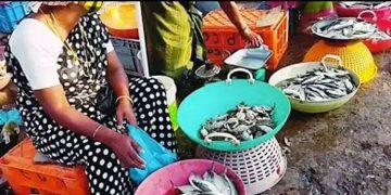 വെള്ളയിൽ ഫിഷ് മാർക്കറ്റ് നിർമാണ പദ്ധതി നടപ്പിലാക്കുന്നതിനായി 3.73 കോടി