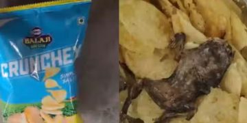 ചിപ്സ് പാക്കറ്റിൽ നിന്ന് ചത്ത തവളയെ കണ്ടെത്തി