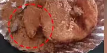 ഷൊർണൂർ റെയിൽവെ സ്റ്റേഷനിൽ നിന്ന് വാങ്ങിയ ഭക്ഷണത്തിൽ ചത്ത തവള