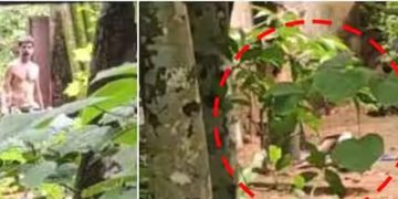 മദ്യലഹരിയിൽ അച്ഛനെ ക്രൂരമായി മർദ്ദിച്ച് മകൻ; സംഭവം പത്തനംതിട്ട തീയ്യാടിക്കലിൽ