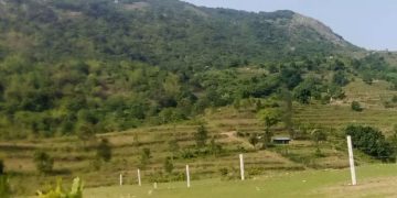 ടി.എൽ.എ കേസ്: ഉത്തരവാകുന്നതിനുമുമ്പ് ആദിവാസികളെ കുടിയിറക്കാൻ ഭീഷണിയെന്ന് പരാതി