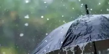 പത്തനംതിട്ടയിലെയും വയനാട്ടിലെയും വിദ്യാഭ്യാസ സ്ഥാപനങ്ങൾക്ക് നാളെ അവധി