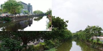 കനോലി കനാലിന്റെ വികസനത്തിനായി പ്രാഥമിക ഡി.പി.ആർ തയാറാക്കിയെന്ന് മുഖ്യമന്ത്രി