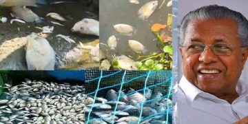 പെറിയാറിൽ പ്രാഥമിക വിവരങ്ങള്‍ പ്രകാരം 13.56 കോടി രൂപയുടെ മത്സ്യനാശം ഉണ്ടായെന്ന് മുഖ്യമന്ത്രി