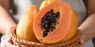 പപ്പായയുടെ കുരു ഡയറ്റില്‍ ഉള്‍പ്പെടുത്തൂ, അറിയാം ഗുണങ്ങള്‍