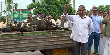 രണ്ട് പശുക്കളെ കൂടി തോൽപ്പെട്ടി 17 കൊന്നു; റോഡ് ഉപരോധിച്ച് നാട്ടുകാർ, കടുവയെ പിടിക്കാൻ നിർദേശം നൽകി മന്ത്രി