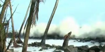 കടലാക്രമണം രൂക്ഷം; എടവനക്കാട് നാളെ ഹർത്താലിന് ആഹ്വാനം