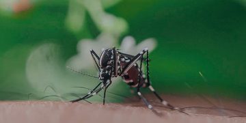 ‘മാസ്ക് ധരിക്കണം, കെട്ടിക്കിടക്കുന്ന വെള്ളത്തിൽ നീന്തരുത്’; പകര്‍ച്ച വ്യാധി തടയാന്‍ പ്രത്യേക ആക്ഷൻ പ്ലാന്‍