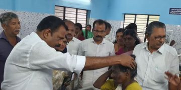 തൊഴിലുറപ്പ് ജോലിക്കിടെ 13 പേർക്ക് കടന്നല്‍ കുത്തേറ്റു; രണ്ടുപേർക്ക് ഗുരുതര പരിക്ക്