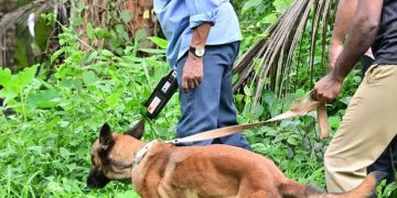 എരഞ്ഞോളി സ്ഫോടനം: സീനയുടെ മൊഴിയെടുത്തു