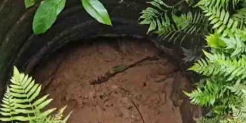 നിറയെ വെള്ളമുണ്ടായിരുന്ന കിണർ പെട്ടെന്ന് വറ്റി, മഴ പെയ്ത വെള്ളം പോലുമില്ല; ഭൂചലനത്തിന് ശേഷമെന്ന് നാട്ടുകാർ