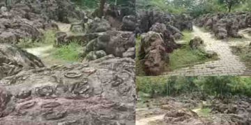 650 ദശലക്ഷം വര്‍ഷം പഴക്കമുളള ശേഷിപ്പുകൾ; ലോക പൈതൃക പട്ടികയിൽ ഇടം പിടിക്കാൻ സല്‍ഖാന്‍ ഫോസില്‍ പാര്‍ക്ക്