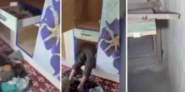 അലമാരയുടെ താഴെ ചെറിയ വാതിൽ, തുറക്കുന്നത് ഒളിസങ്കേതത്തിലേക്ക്; കശ്മീരിൽ തീവ്രവാദികൾ ഉപയോഗിച്ച ബങ്കർ കണ്ടെത്തി