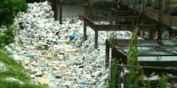 പഞ്ചകർമ്മ ആശുപത്രി കെട്ടിടം മാലിന്യമലയാക്കി ആലപ്പുഴ നഗരസഭ