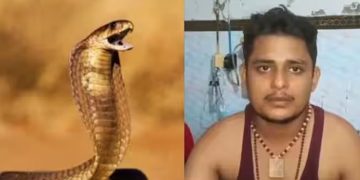 എവിടെപ്പോയാലും പാമ്പുകൾ പിന്നാലെ, ഒന്നര മാസത്തിനിടെ കടിയേറ്റത് ആറുതവണ, എന്നിട്ടും വികാസ് ജീവിതത്തിലേക്ക്