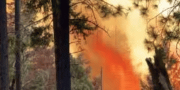 അമേരിക്കയിലെ കാലിഫോർണിയയിൽ കാട്ടുതീ അനിയന്ത്രിതമായി പടരുന്നു