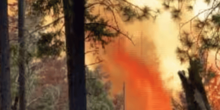 അമേരിക്കയിലെ കാലിഫോർണിയയിൽ കാട്ടുതീ അനിയന്ത്രിതമായി പടരുന്നു