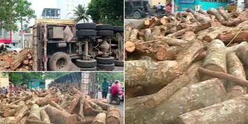 ദേശീയ പാതയിൽ തടി ലോറി മറിഞ്ഞു, റോഡിൽ തടിക്കഷ്ണങ്ങൾ, വൈറ്റില ഇടപ്പള്ളി റൂട്ടിൽ ഗതാഗത നിയന്ത്രണം