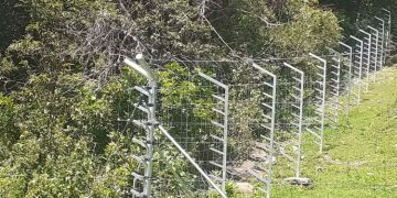 അട്ടപ്പാടിയിലെ ആദിവാസി ഭൂമി അളന്ന് തിട്ടപ്പെടുത്താൻ സ്പെഷ്യൽ ഓഫീസറെ നിയമിക്കണമെന്ന ഹൈകോടതി ഉത്തരവ് ചുവപ്പ് നാടയിൽ