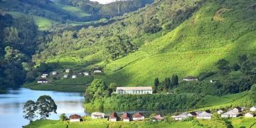 മൂന്നാറിൽ സ്പെഷ്യൽ ഓഫീസറെ നിയമിക്കണമെന്ന ഹൈകോടതി ഉത്തരവ് പരിശോധനയിൽ