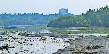 കല്ലായ് പുഴയിലെ ചെളിയും മണ്ണും നീക്കം ചെയ്യുന്നതിന് 7.90 കോടി രൂപയുടെ ഭരണാനുമതിയെന്ന് റോഷി അഗസ്റ്റിൻ