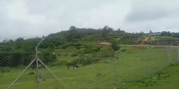 ആദിവാസി ഭൂമി കൈയേറ്റം: അട്ടപ്പാടി സന്ദർശിച്ച് വസ്തുതാന്വേഷണം നടത്തുമെന്ന് ഹ്യൂമൻ റൈറ്റ്സ് മൂവ്മെന്റ്