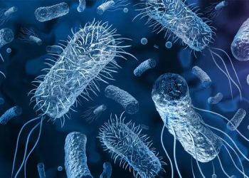 തിരുവനന്തപുരത്തെ രണ്ടു പേർക്ക് കൂടി കോളറ ബാധ