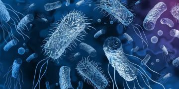 തിരുവനന്തപുരത്തെ രണ്ടു പേർക്ക് കൂടി കോളറ ബാധ