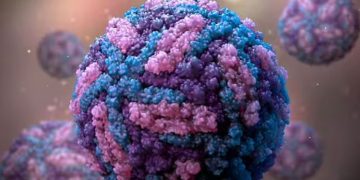 സിക്ക വൈറസ്; സ്ഥിരീകരിച്ചത് 8 കേസുകൾ, ജാ​ഗ്രതാ നിർദേശങ്ങളുമായി കേന്ദ്ര സർക്കാർ