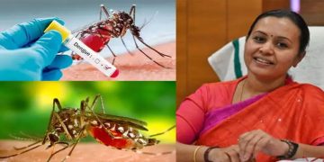 രണ്ടാമതും ഡെങ്കിപ്പനി വന്നാല്‍ സങ്കീര്‍ണമാകും, അതീവ ജാഗ്രത വേണമെന്ന് വീണ ജോര്‍ജ്