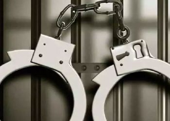 അന്താരാഷ്ട്ര കിഡ്നി റാക്കറ്റ്: ഡൽഹിയിൽ വനിത ഡോക്ടർ അറസ്റ്റിൽ