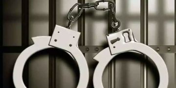 അന്താരാഷ്ട്ര കിഡ്നി റാക്കറ്റ്: ഡൽഹിയിൽ വനിത ഡോക്ടർ അറസ്റ്റിൽ