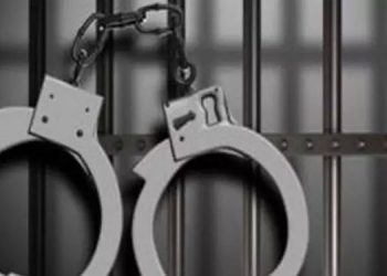 ഫാമുകളിൽ അടിമപ്പണി; ഇറ്റലിയിൽ രണ്ട് ഇന്ത്യക്കാർ അറസ്റ്റിൽ, 33 പേരെ മോചിപ്പിച്ചു